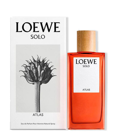 LOEWE SOLO ATLAS