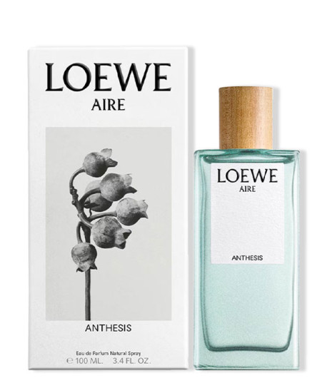 LOEWE AIRE ANTHESIS