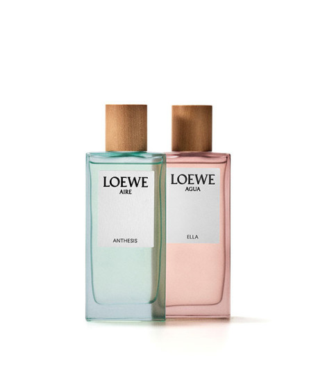 LOEWE AIRE ANTHESIS