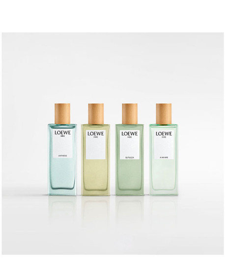 LOEWE AIRE ANTHESIS