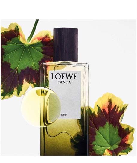 LOEWE ESENCIA ELIXIR