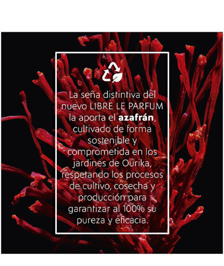 LIBRE LE PARFUM