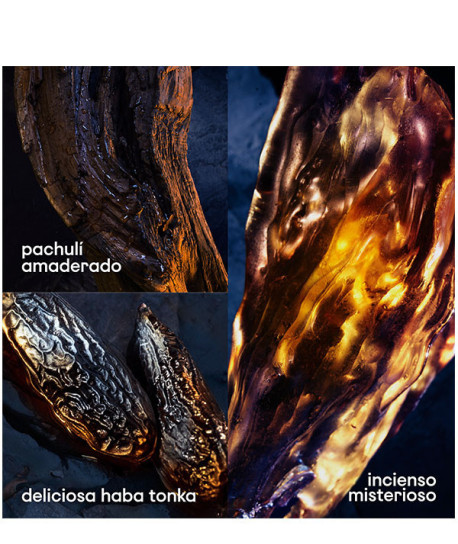 INVICTUS VICTORY ELIXIR