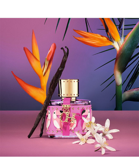 CH BIRDS OF PARADISE