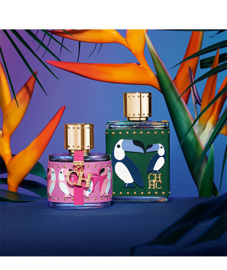 CH BIRDS OF PARADISE