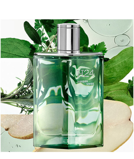 H24 HERBES VIVES