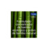 SANEX NATUR PROTECT FRESH EFFICACY BAMBOO DESODORANTE SPRAY