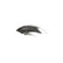 HIGH IMPACT MASCARA