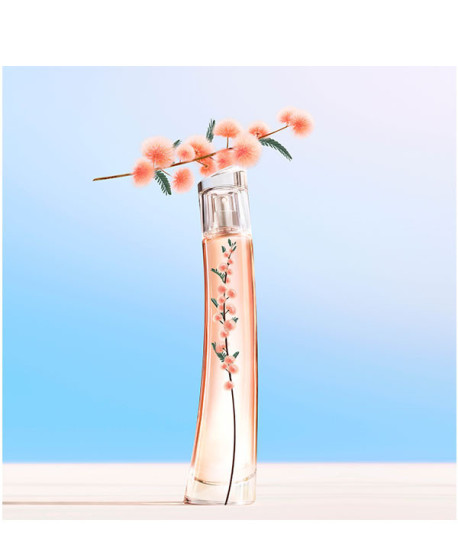 FLOWER IKEBANA MIMOSA BY KENZO