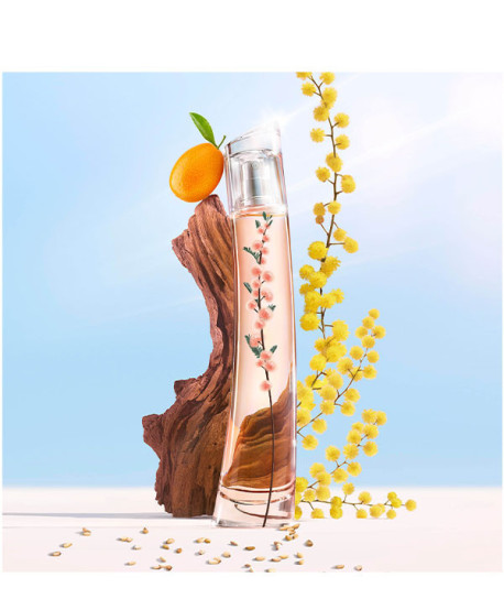 FLOWER IKEBANA MIMOSA BY KENZO