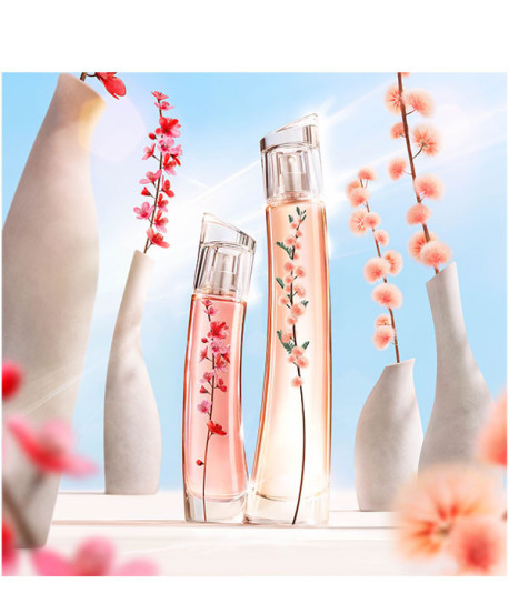 FLOWER IKEBANA MIMOSA BY KENZO