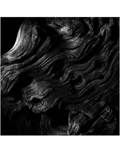 LES ABSOLUS D'ORIENT EPICES EXQUISES