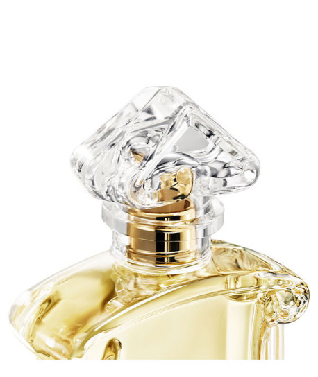 INSOLENCE EDP