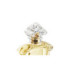 INSOLENCE EDP
