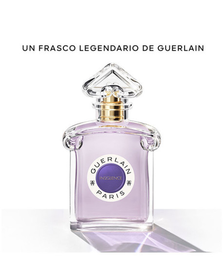 INSOLENCE EDP