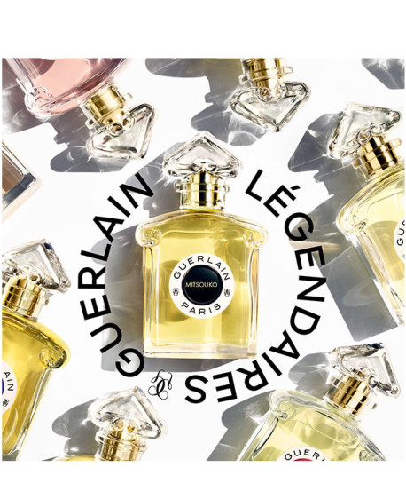 INSOLENCE EDP