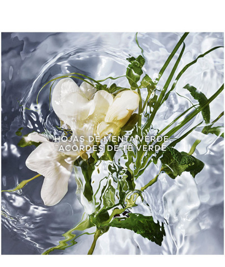 AQUA ALLEGORIA HERBA FRESCA