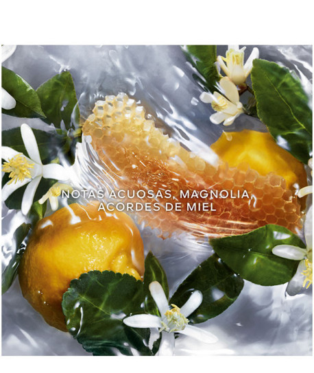 AQUA ALLEGORIA NETTARE DI SOLE