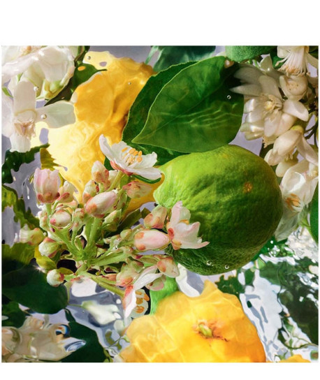 AQUA ALLEGORIA NETTARE DI SOLE