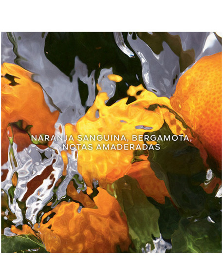 AQUA ALLEGORIA ORANGE SOLEIA