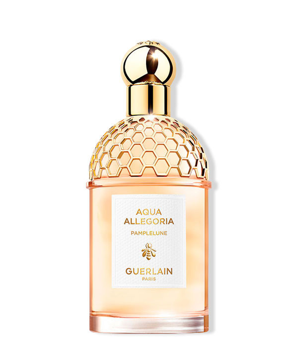 AQUA ALLEGORIA PAMPLELUNE