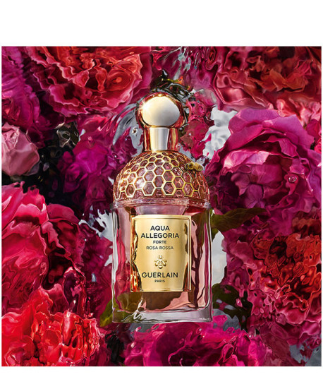 AQUA ALLEGORIA ROSA ROSSA FORTE