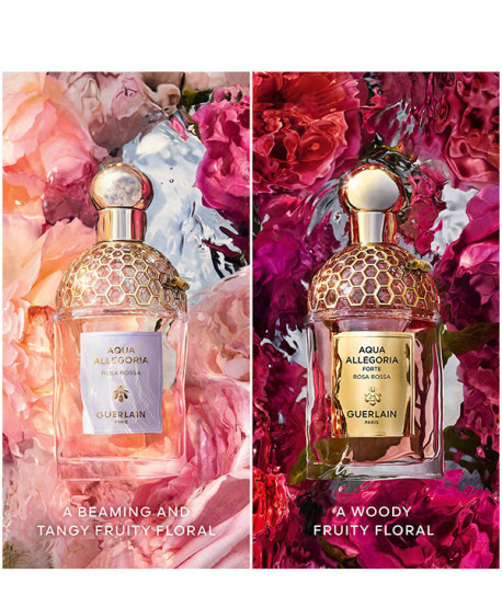 AQUA ALLEGORIA ROSA ROSSA FORTE