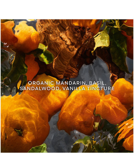 AQUA ALLEGORIA MANDARINE BASILIC FORTE