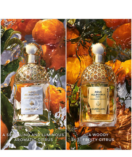 AQUA ALLEGORIA MANDARINE BASILIC FORTE