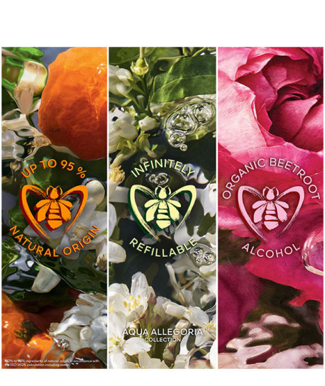 AQUA ALLEGORIA MANDARINE BASILIC ESTUCHE