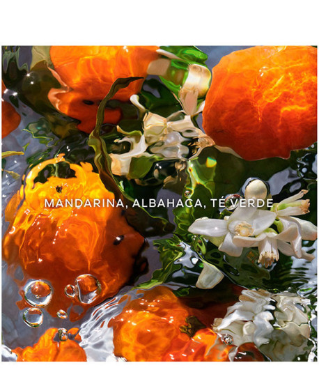 AQUA ALLEGORIA MANDARINE BASILIC