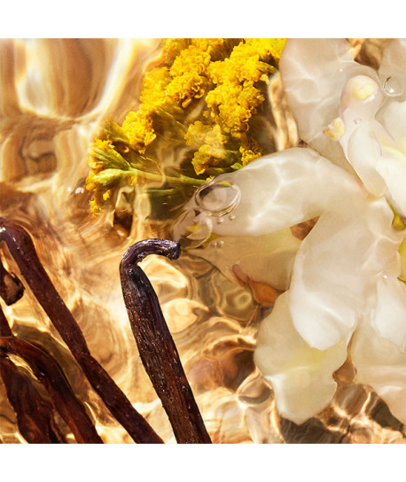 AQUA ALLEGORIA BOSCA VAINILLA FORTE