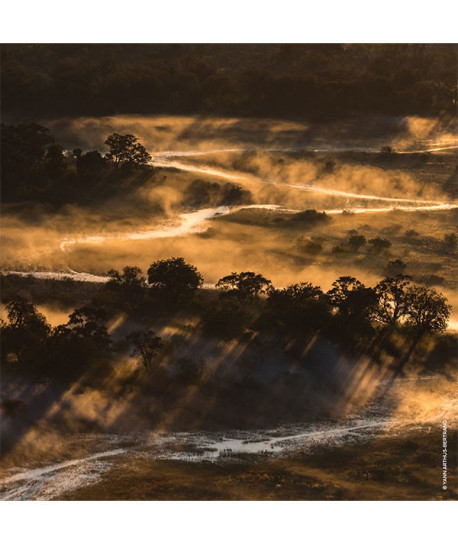 AQUA ALLEGORIA BOSCA VAINILLA FORTE