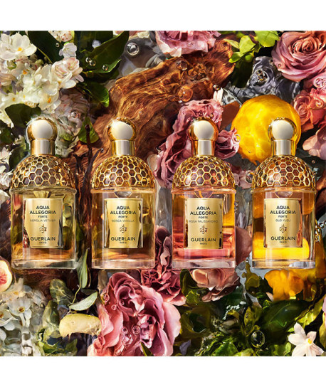 AQUA ALLEGORIA BOSCA VAINILLA FORTE