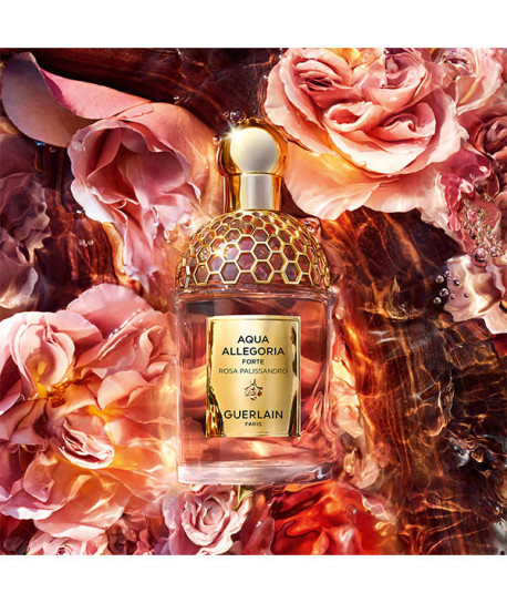 AQUA ALLEGORIA ROSA PALISSANDRO FORTE