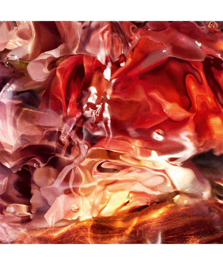 AQUA ALLEGORIA ROSA PALISSANDRO FORTE