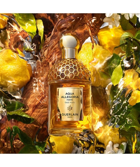 AQUA ALLEGORIA OUD YUZU FORTE