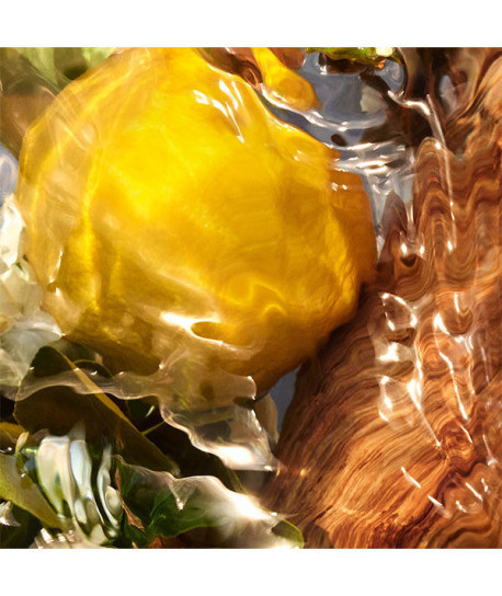 AQUA ALLEGORIA OUD YUZU FORTE