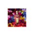 AQUA ALLEGORIA FLORABLOOM FORTE
