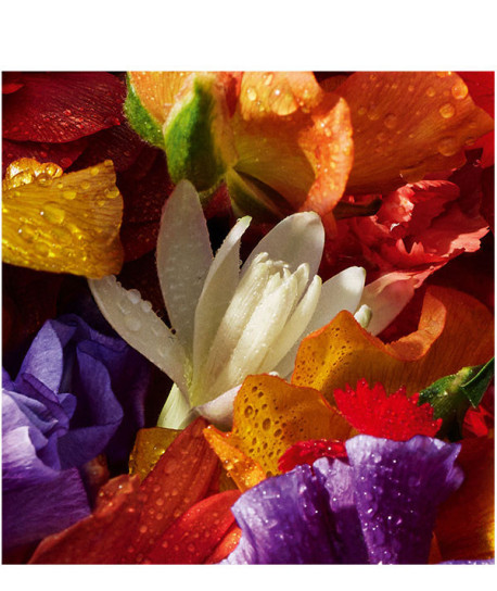 AQUA ALLEGORIA FLORABLOOM FORTE