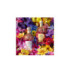 AQUA ALLEGORIA FLORABLOOM FORTE