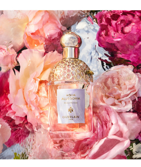 AQUA ALLEGORIA ROSA ROSSA
