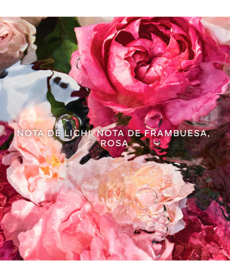 AQUA ALLEGORIA ROSA ROSSA