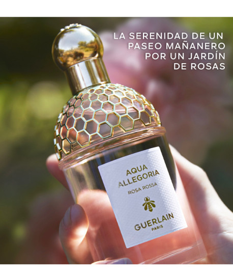 AQUA ALLEGORIA ROSA ROSSA