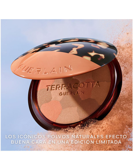 TERRACOTTA LIGHT COLLECTOR