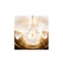 ORCHIDÉE IMPÉRIALE GOLD NOBILE LA CREMA