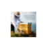 ABEILLE ROYALE MASCARILLA DOUBLE R