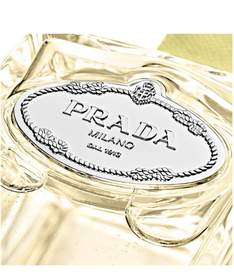 PRADA INFUSION DE GINGEMBRE