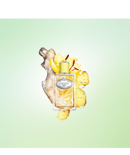 PRADA INFUSION DE GINGEMBRE
