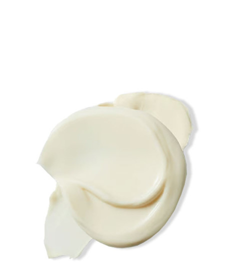 SKIN FOOD BODY LOTION